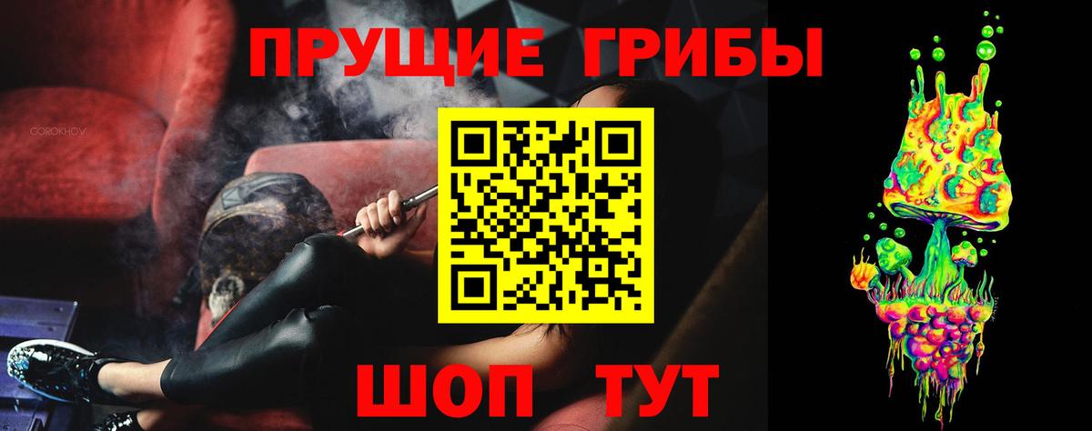Псилоцибиновые грибы ЛСД  Вход с VPN  Можга  Псилоцибиновые грибы Psilocybe 